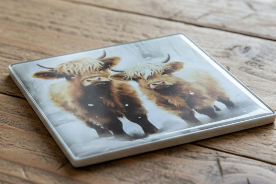 Set of 4 Highland Cow Art Glass Coasters | Gift for Cow Lovers