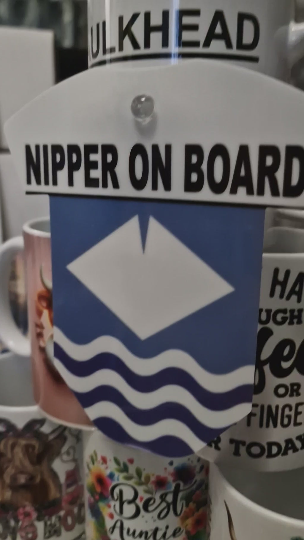Isle of wight nipper on board
