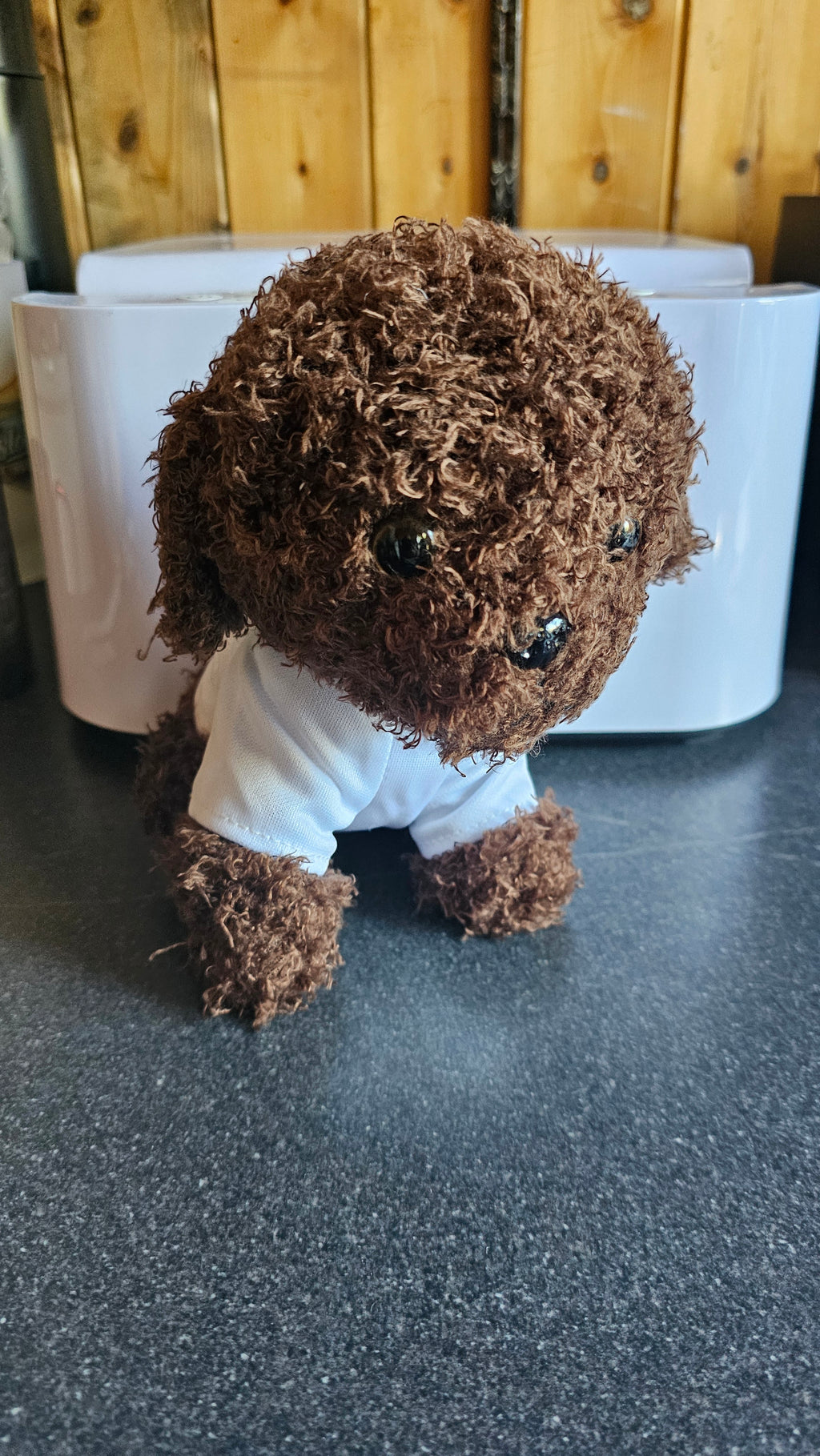 Cute Island life teddy